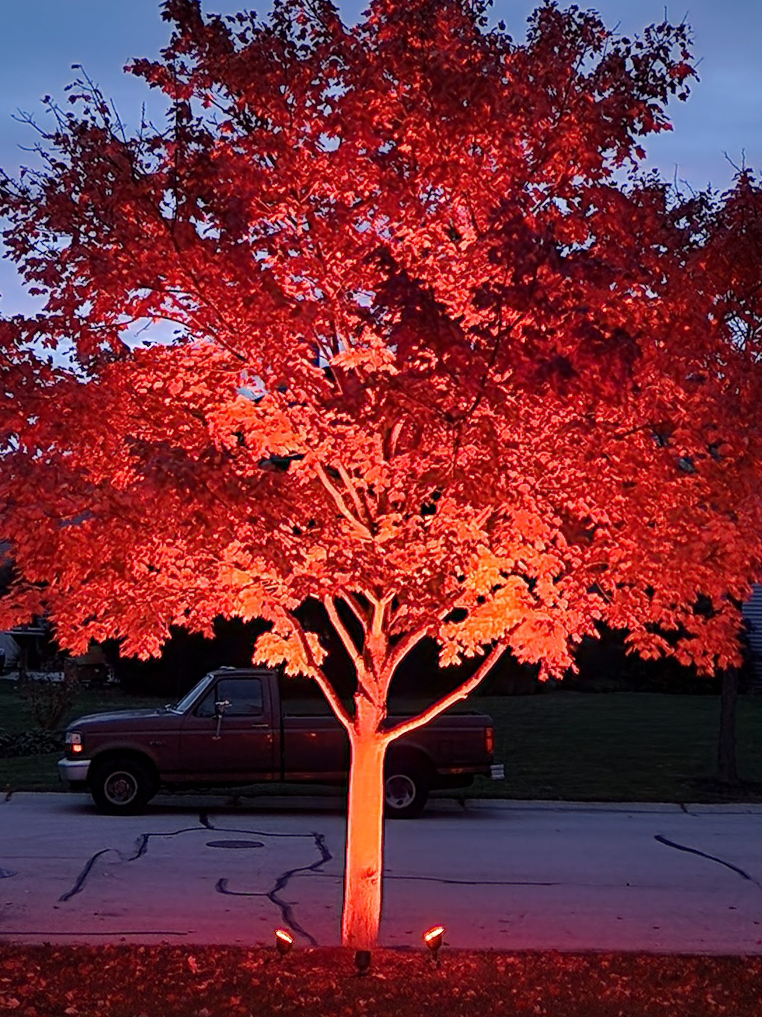 enhancing your outdoor space with landscape lighting in the fall, 3 ways to enjoy your outdoor space in the fall