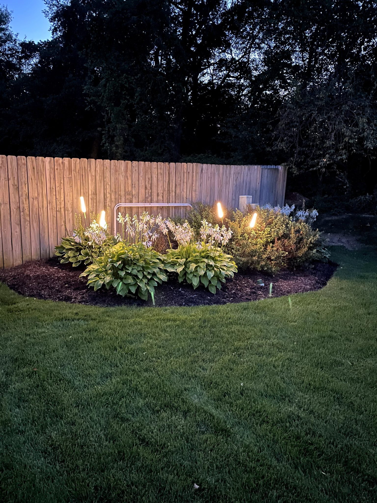 backyard lighting ideas, ideas for lighting your backyard, landscape lighting for backyards