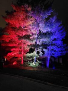 color-changing tree lighting, celebratory color-changing lighting
